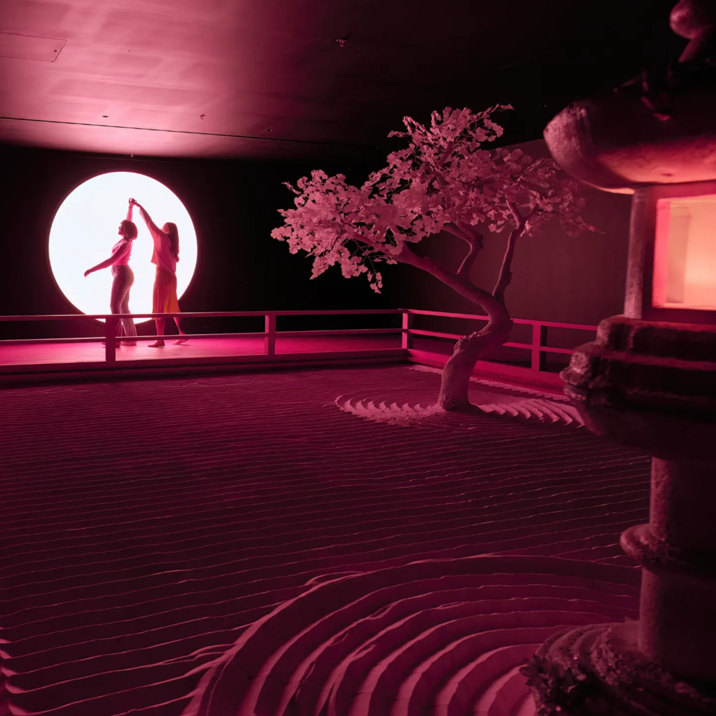 Digital immersive